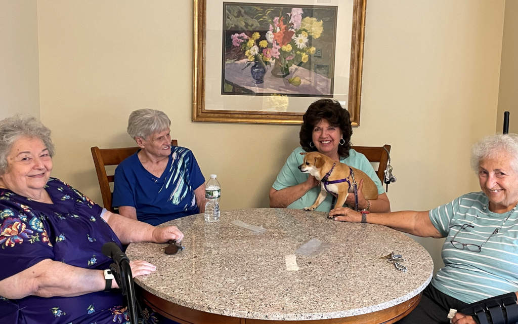 small dog joins smiling female older adults as they converse at table