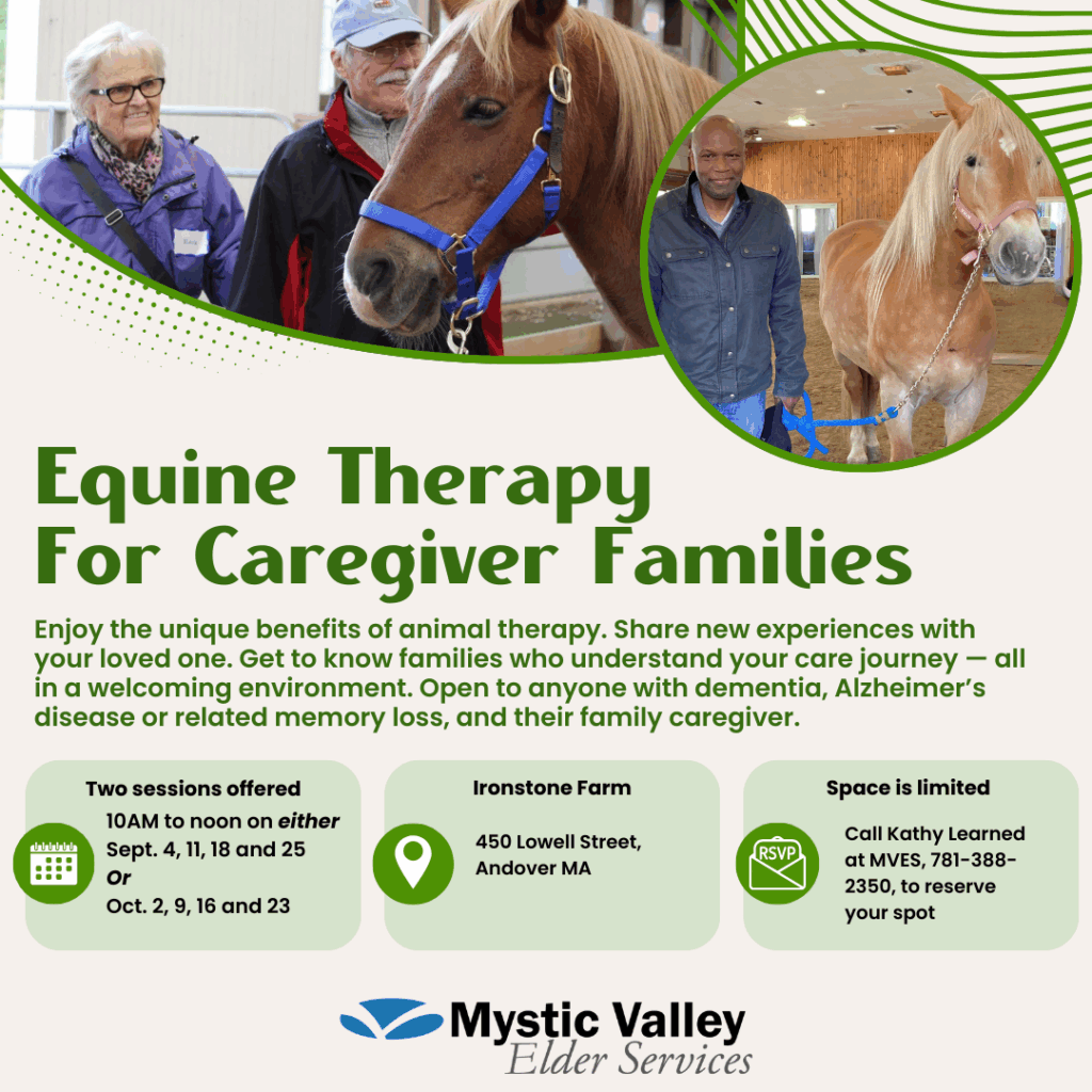 2 photos at the top, 1 with an older couple and a horse and one with a man and a horse. Green accents graphics are behind the photos. Below is text about the program details and the MVES logo.