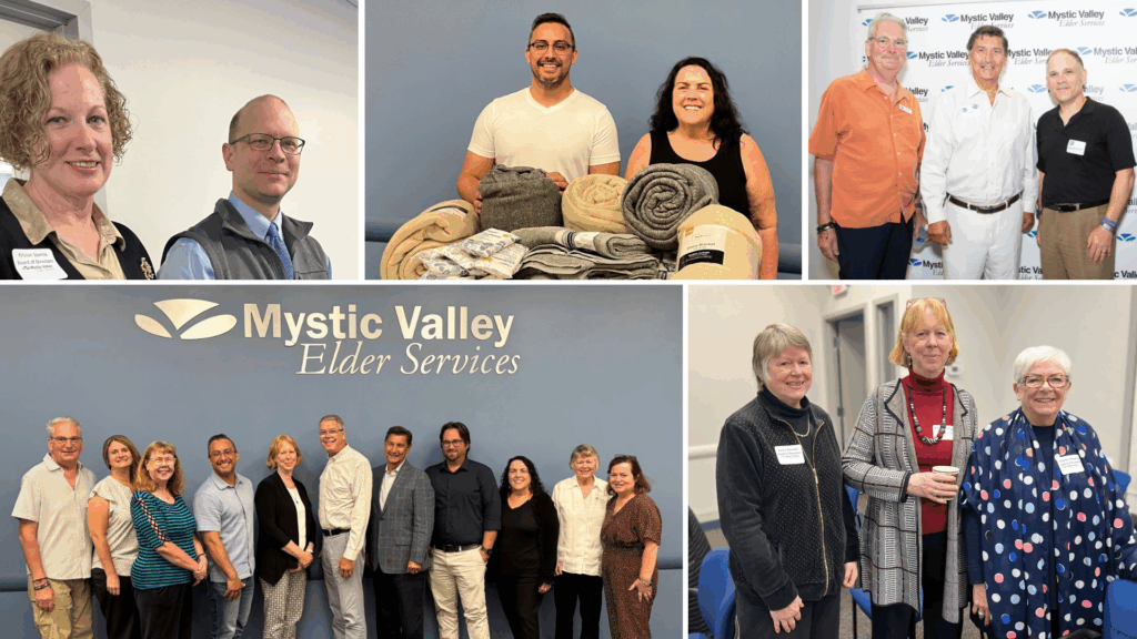 Collage of 6 photos of MVES Board members at events and meetings