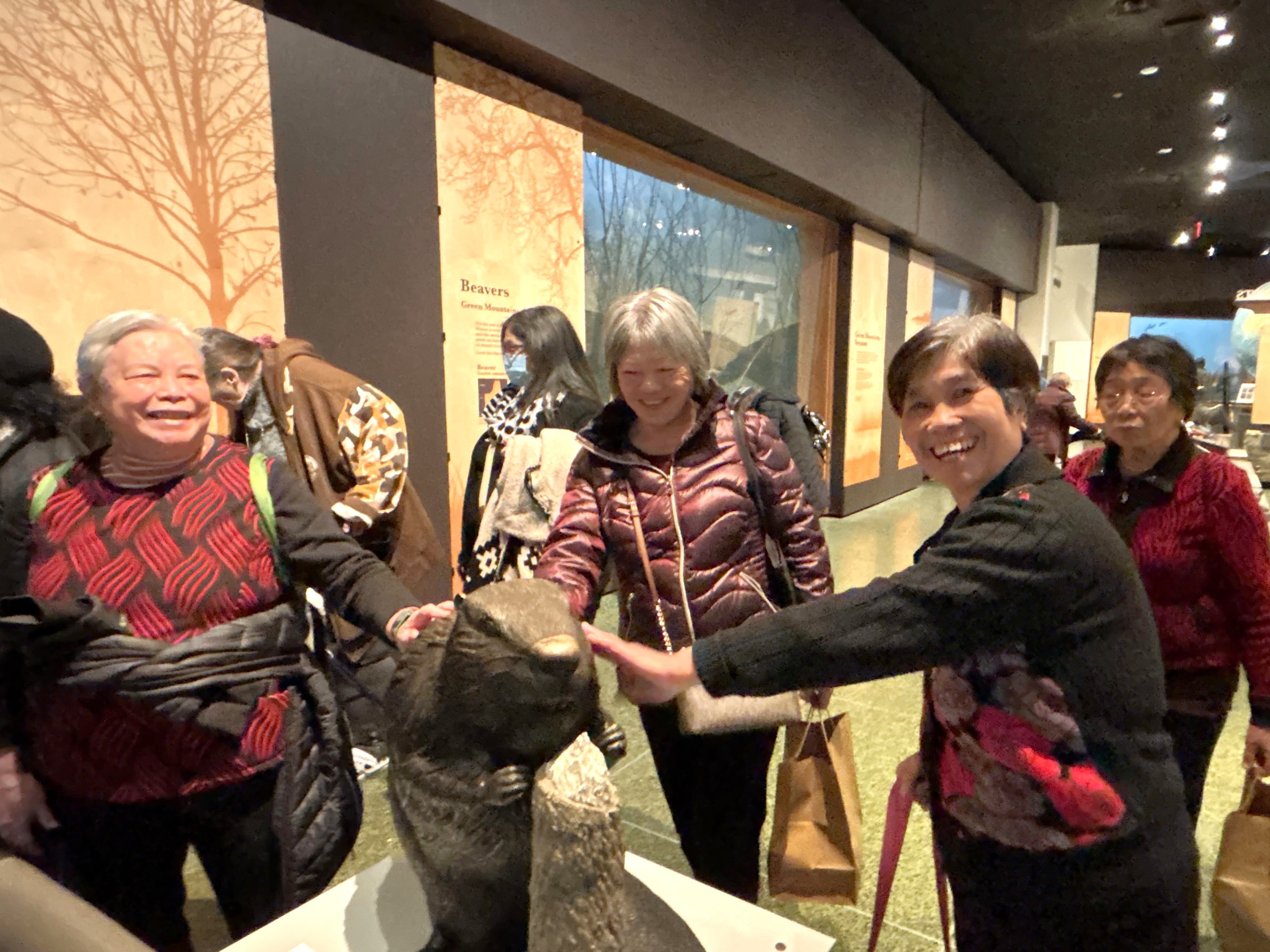 Several older adult women laugh and smile as they approach a beaver statue at the Museum of Science in Boston.
